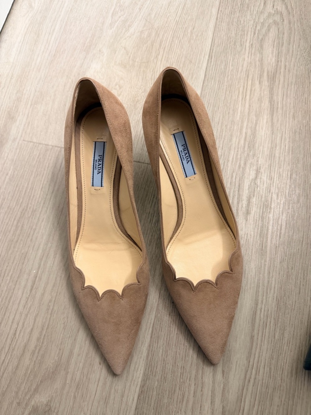 Prada Taupe Scalloped Suede Pointed Toe Pumps 37.5